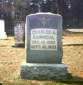 Charles A. Carmical