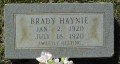 Brady Haynie