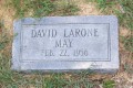 David Larone May