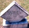 Samuel Abraham Wilson