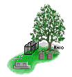 Trees & tombstone
