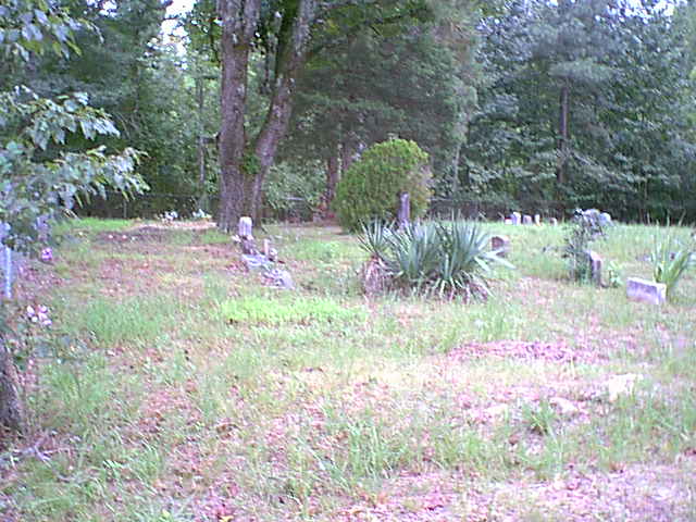 Birden Cemetery, Pulaski County, Arkansas