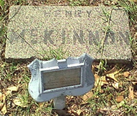 Henry McKinnon, Pulaski County, Arkansas