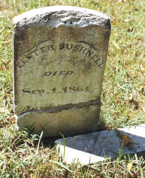 Lester Bushnell, Pulaski County, Arkansas