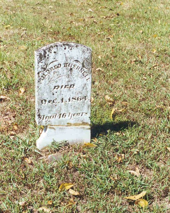Mildred Bushnell, Pulaski County, Arkansas