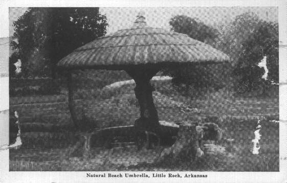 Natural Beach Umbrella, Little Rock, Pulaski County, ARGenWeb